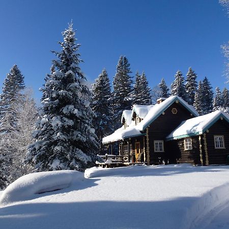Domaine Le Bostonnais - Le Village En Bois Rond La Tuque Εξωτερικό φωτογραφία