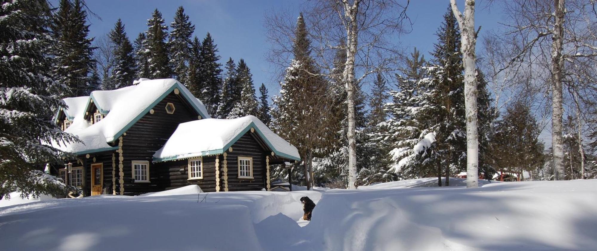 Domaine Le Bostonnais - Le Village En Bois Rond La Tuque Εξωτερικό φωτογραφία
