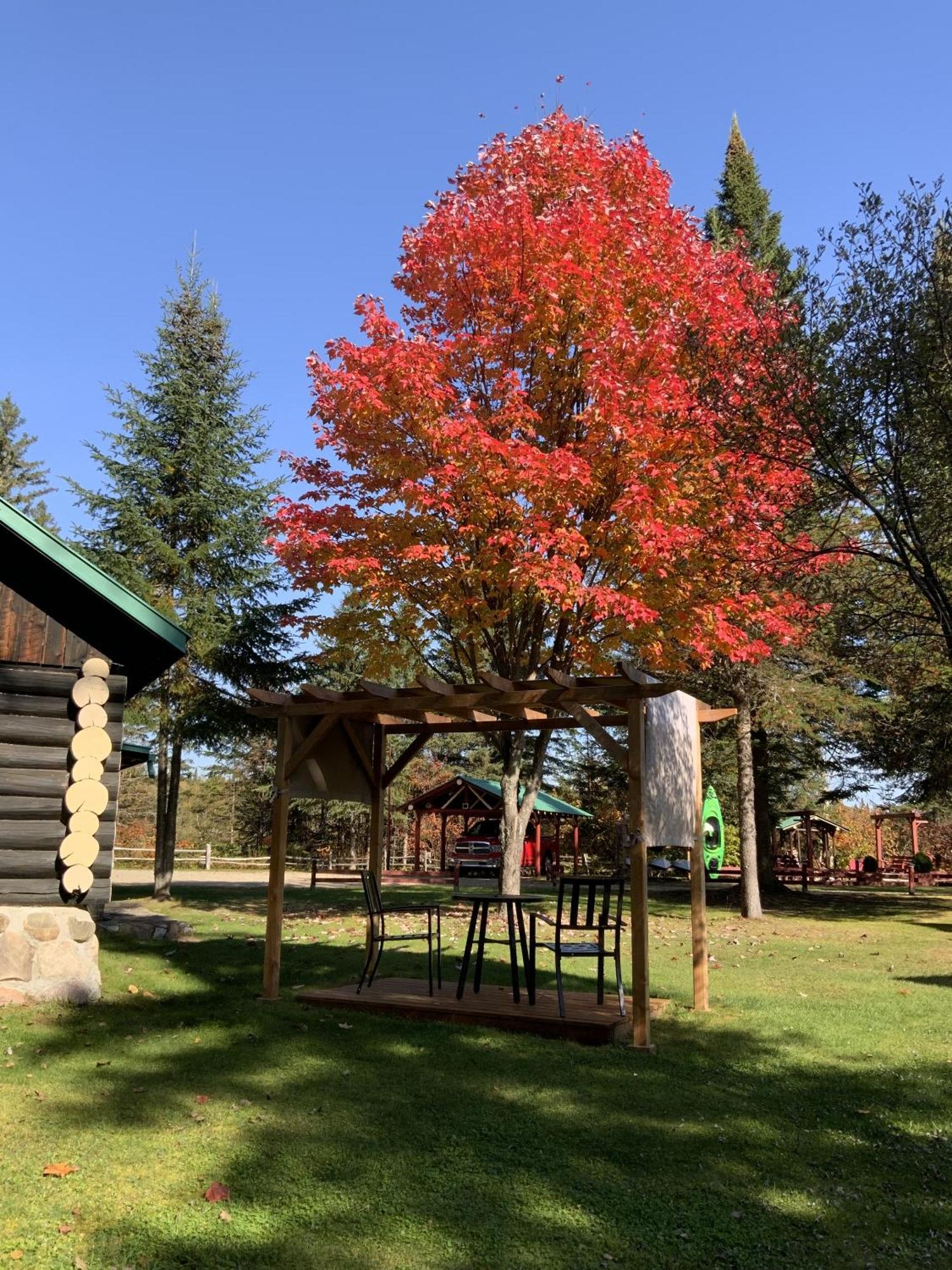 Domaine Le Bostonnais - Le Village En Bois Rond La Tuque Δωμάτιο φωτογραφία