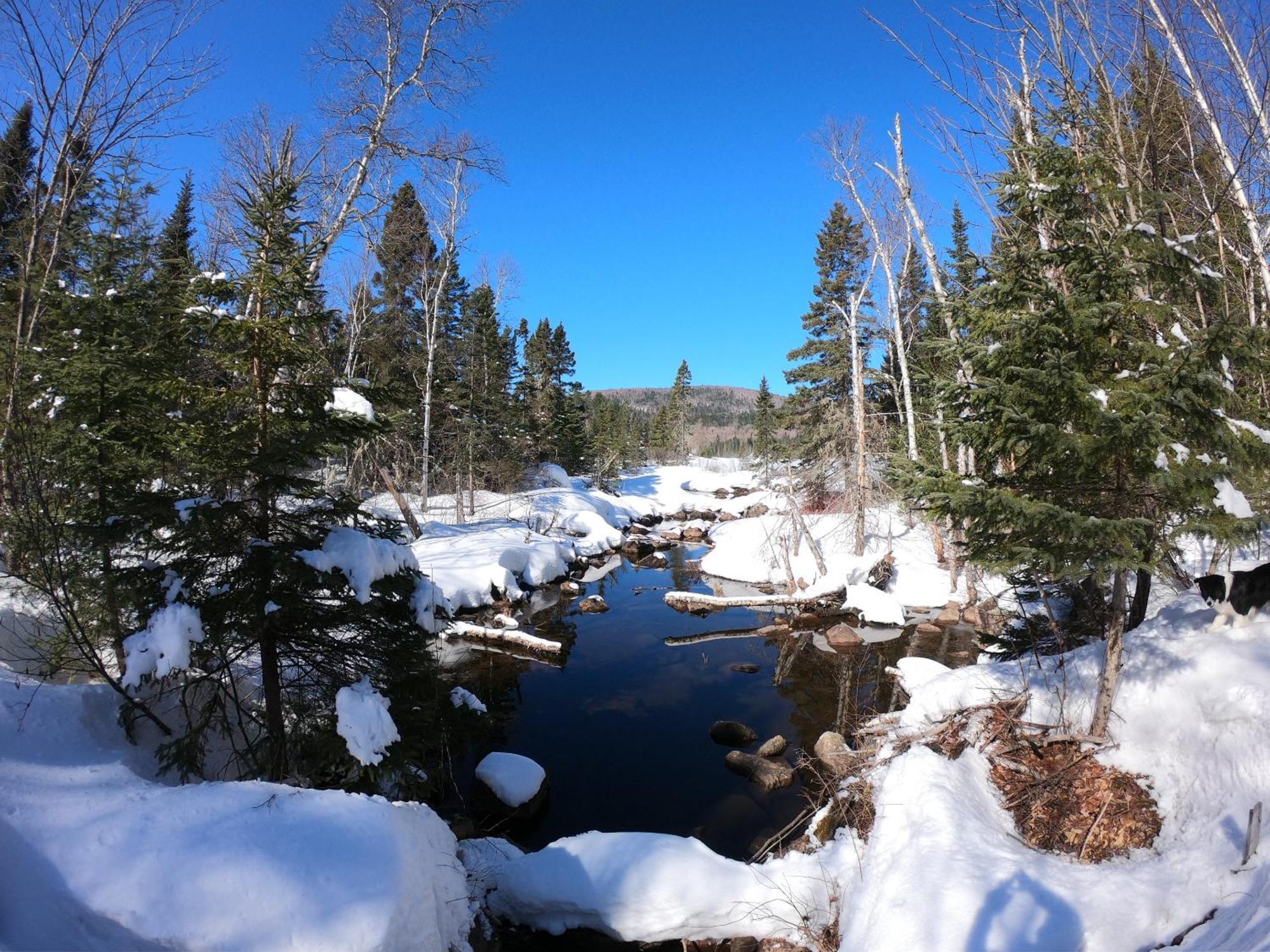 Domaine Le Bostonnais - Le Village En Bois Rond La Tuque Εξωτερικό φωτογραφία