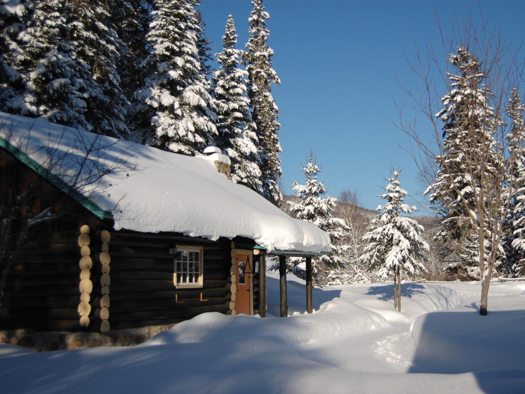 Domaine Le Bostonnais - Le Village En Bois Rond La Tuque Δωμάτιο φωτογραφία