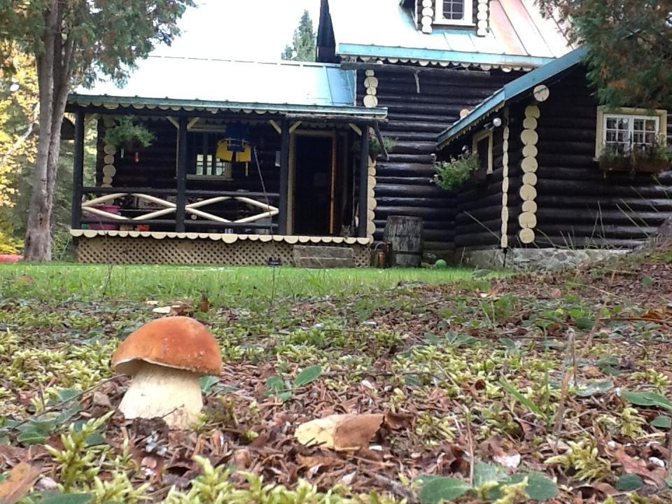 Domaine Le Bostonnais - Le Village En Bois Rond La Tuque Εξωτερικό φωτογραφία